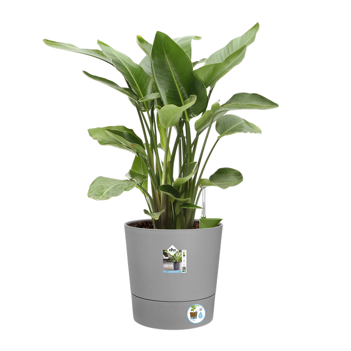 greensense aqua care rond 43cm licht beton